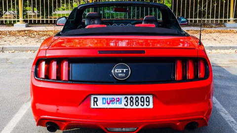 Luxury Car Rental