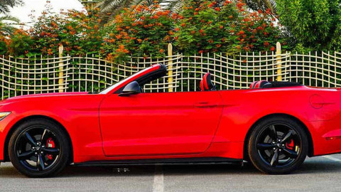 Luxury Car Rental