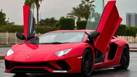 Luxury Car Rental